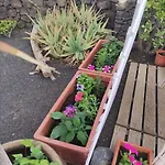 Casa Con Jardin Διαμέρισμα Costa Teguise